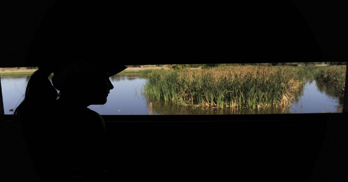 Sophia Kesina, 8, of Chisholm, has a view of the wetlands from a bird hide. Photo: Graham Tidy