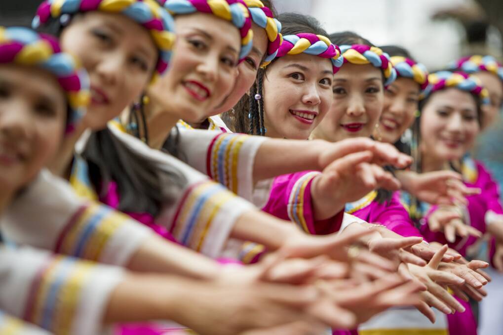 The Australian Chinese Culture exchange association dancers perform at the Multicultural festival. Photo: Jay Cronan
