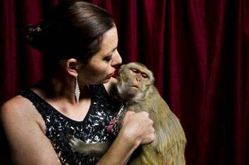 Stardust Circus' Wonona West with Millie, one of the monkeys involved in a car accident on Thursday last week. Photo: Rohan Thomson