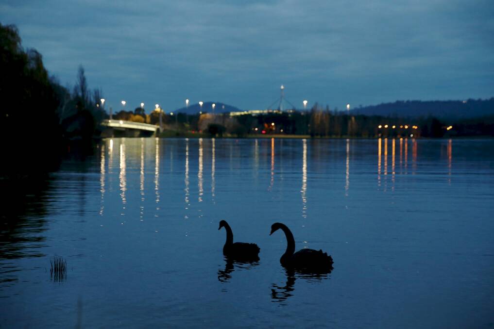Serene scene: Lake Burley Griffin provides a haven for many species of bird. Photo: Alex Ellinghausen