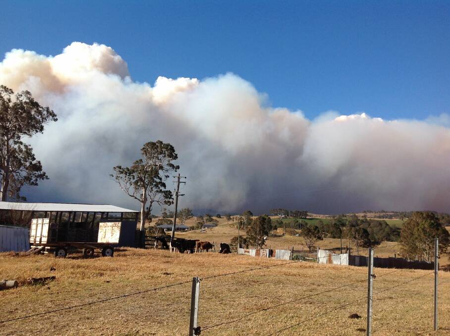 A fire burning out of control north of Bemboka.  Photo: Elaine Bateman
