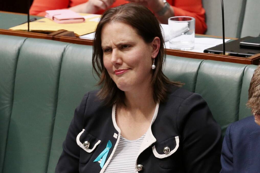 Revenue and Financial Services Minister Kelly O'Dwyer.  Photo: Andrew Meares
