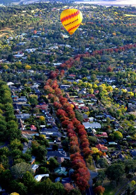 Canberra's inner suburbs are up to 5 degrees cooler than areas of the city with fewer trees. Photo: Graham Tidy