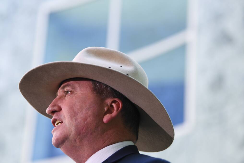 Barnaby Joyce addresses the media in the Parliament House court yard on Friday. Photo: AAP
