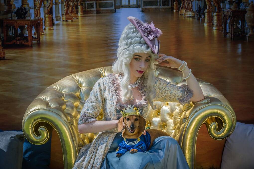 Marie Antoinette (aka Claire Mackey) and canine friend Diesel dress up in preview for the NGA's Paws for art event at the National Gallery on Jan 21. Photo: karleen minney
