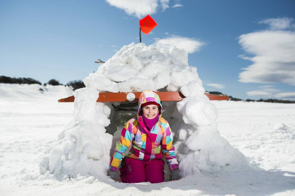 Pip Zdenowski, 10, from Adelaide, shelters in the igloo she built with her grandfather at Perisher.  Photo: Rohan Thomson