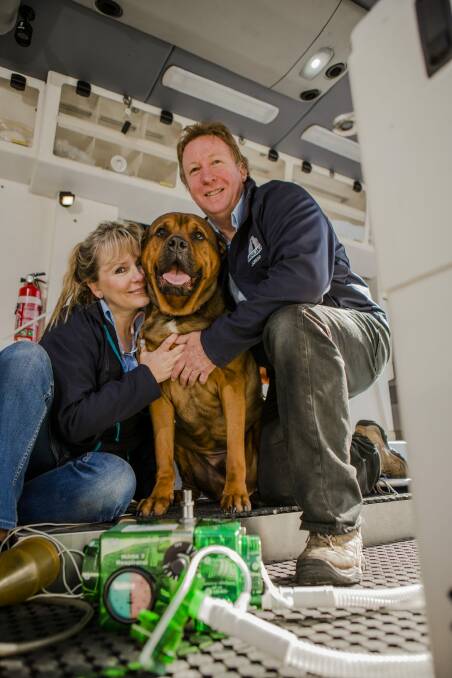 Claudia Blackley, Jarrod Male and their dog, Moose, owners and operators of Pet Ambulance. Photo: Jamila Toderas