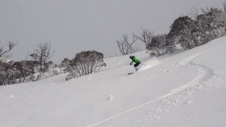 A skier enjoys the recent snowfall at Thredbo. Photo: Thredbo Resort