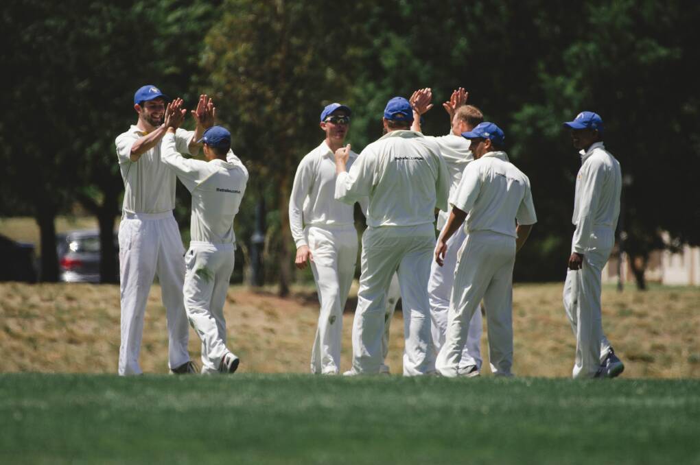 North Canberra-Gungahlin celebrate a Weston Creek Molonglo wicket. Photo: Jamila Toderas