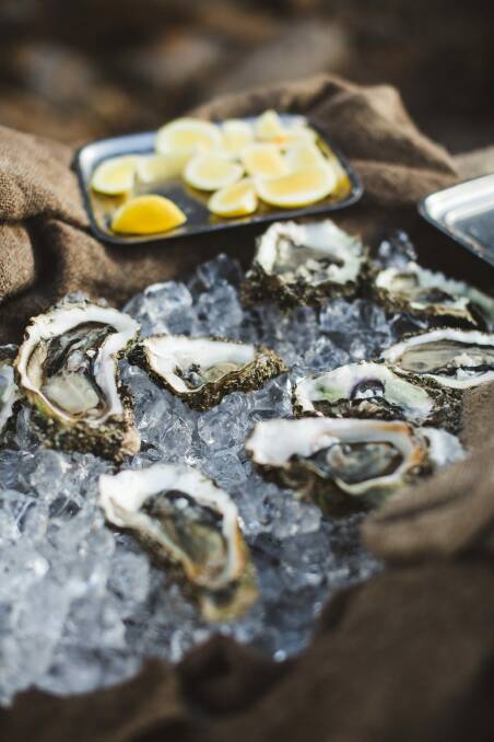 Fresh oysters. Photo: Adam Gibson