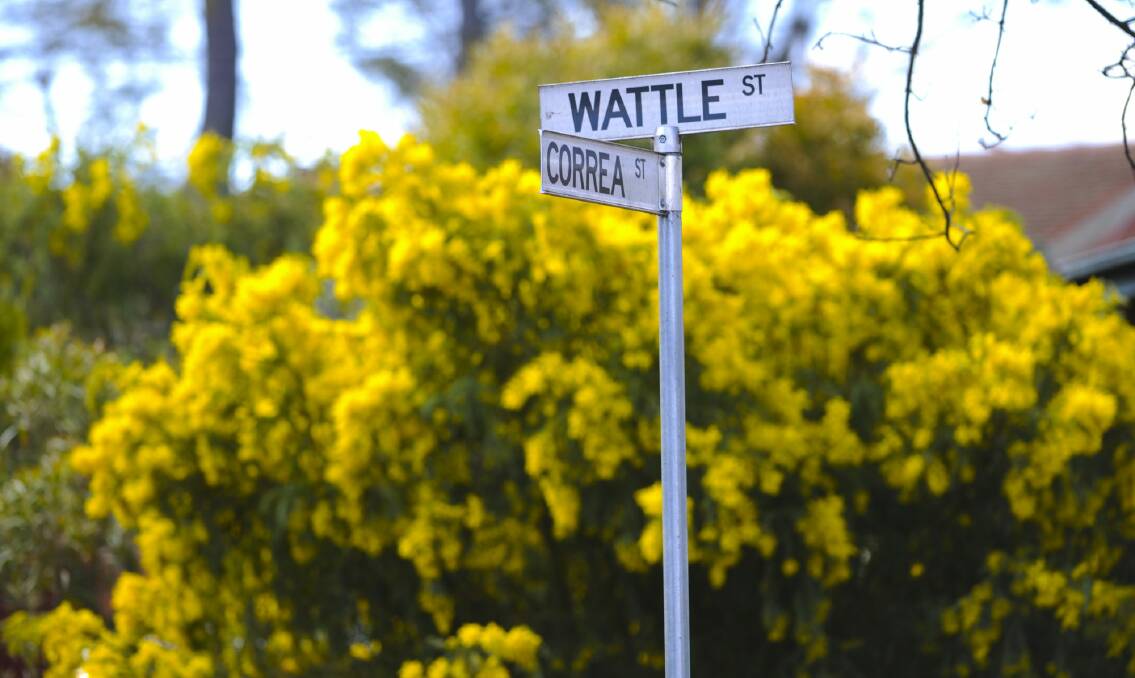 The Wattle Street road sign in Lyneham. Photo: Graham Tidy