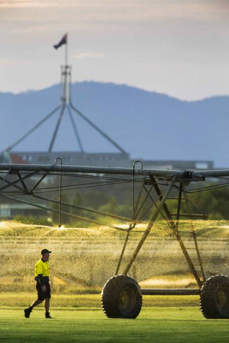 An irrigation system in action at the Canturf farm in Fyshwick.  

 Photo: Matt Bedford
