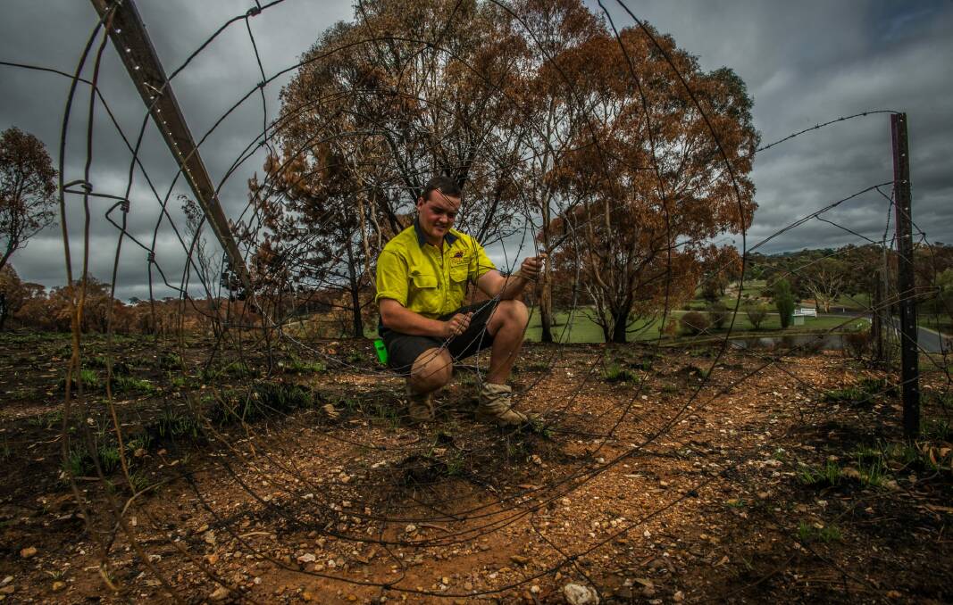 Fencer Lachlan Harding of Patterson rural consulting works to repair fences in the Carwoola area after the February fires. Photo: Karleen Minney
