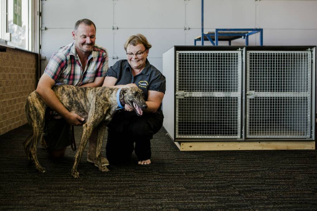 The Canberra Greyhound Racing Club, including secretary Debbie Collier pictured with trainer and breeder Jason Platts and Cupcake the greyhound, hope to meet with the RSPCA to defend the sport after calls for a ban in the ACT. Photo: Jamila Toderas