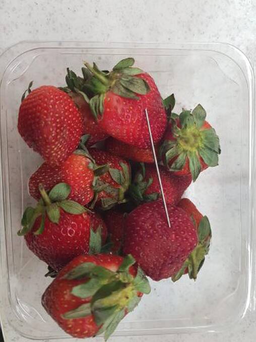 A needle found in a punnet of strawberries.  Photo: Supplied