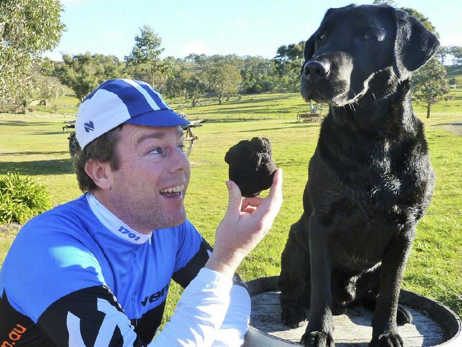 Tim with a 350kg truffle dug up by truffle dog Samson at French Black Truffles of Canberra.