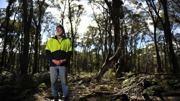 The Firewood Baron, Bernie Smillie stands on his land that he has harvested for firewood. Photo: Jay Cronan