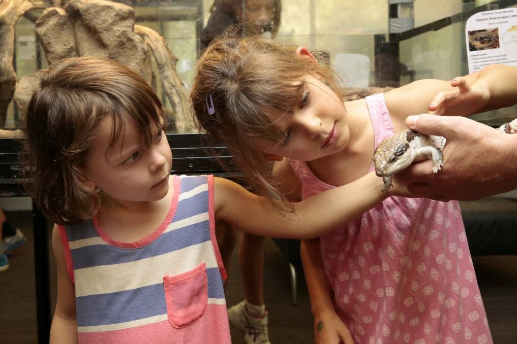 Ella Zochling, 4, and Maisie Zockling, 5, of Tennant Creek have a close look at a blue tongue lizard at the Snakes Alive exhibition at the Australian National Botanic Gardens. Photo: Jeffrey Chan