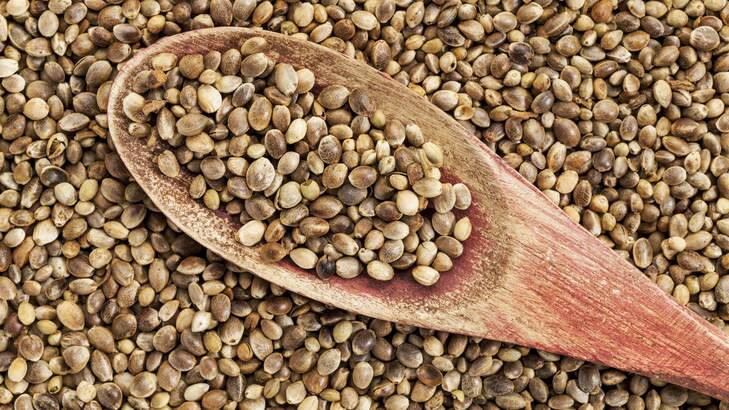 Hemp seeds.... widely available online. Photo: Thinkstock