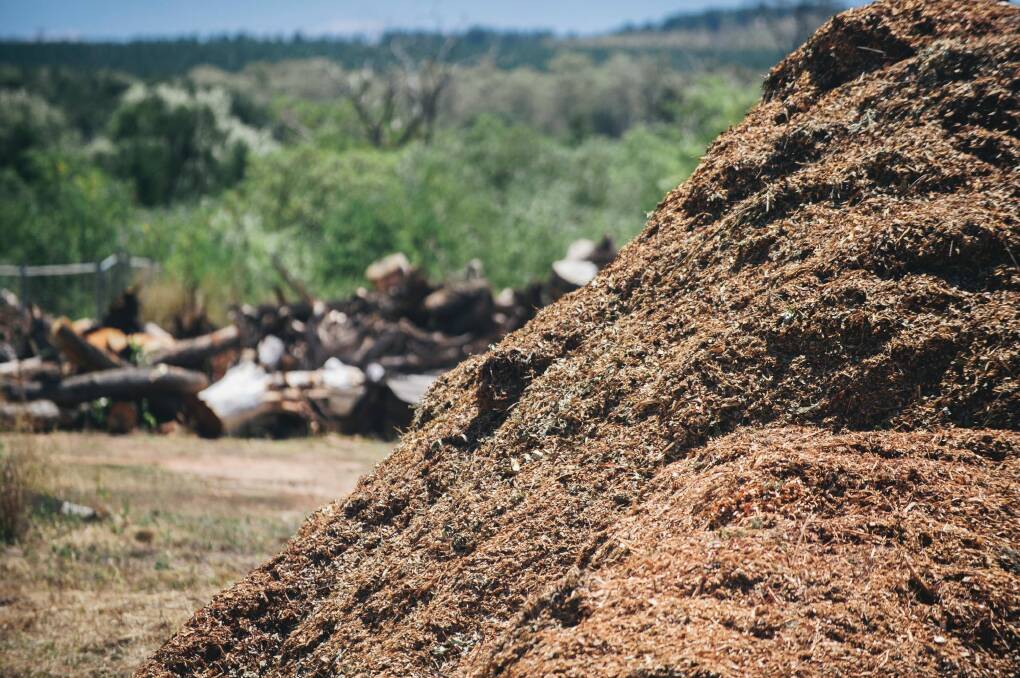 Timber removed during roadworks is mulched at the Curtin and Mitchell storage sites. Photo: Rohan Thomson