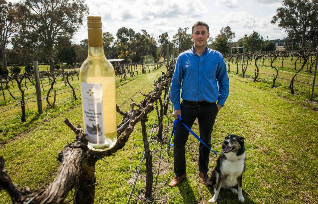 Robbie Makin with his RSPCA rescued dog Mollie, who hosted a dog day to launch her first wine, Mollie's Block Sauvignon Blanc. Photo: Elesa Kurtz