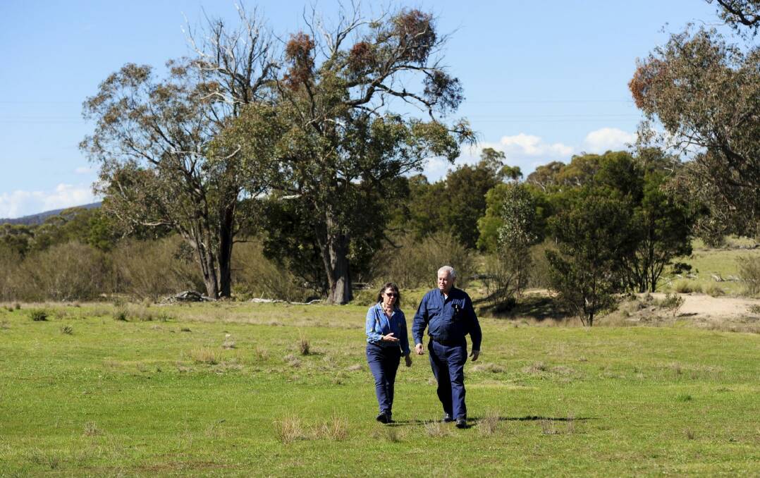 Concerned land owners at Mt Fairy will protest on Tuesday about a proposed wind farm near their properties between Bungendore and Braidwood. Jane Keany, left and Michael Crawford, pictured on Jane's property, will be joined by others at the ACT Legislative Assembly.
protest. Photo: Graham Tidy