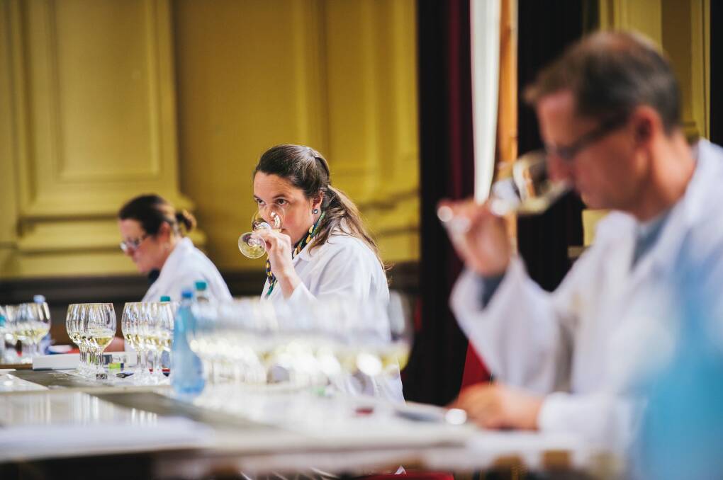 The Canberra International Riesling Challenge 2017 wine judging at the Albert Hall. (L-R) Alison Eisermann, Greer Carland, and Steffen Schindler Photo: Rohan Thomson