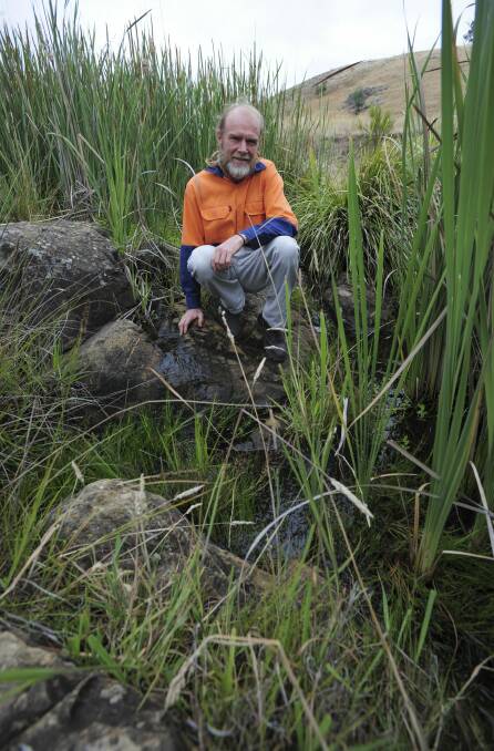 Conservationist, Phillip Fowler on his property near Blakney Creek, North East of Yass. He has helped re-vegetate Lang's Creek that flows through his property and contains the endangered fish species, Pygmy Perch. Photo: Graham Tidy