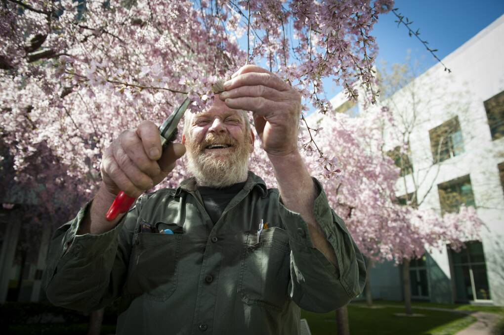 Parliament House gardener Wayne Roach will lead tours of the gardens and courtyards. Photo: Elesa Kurtz