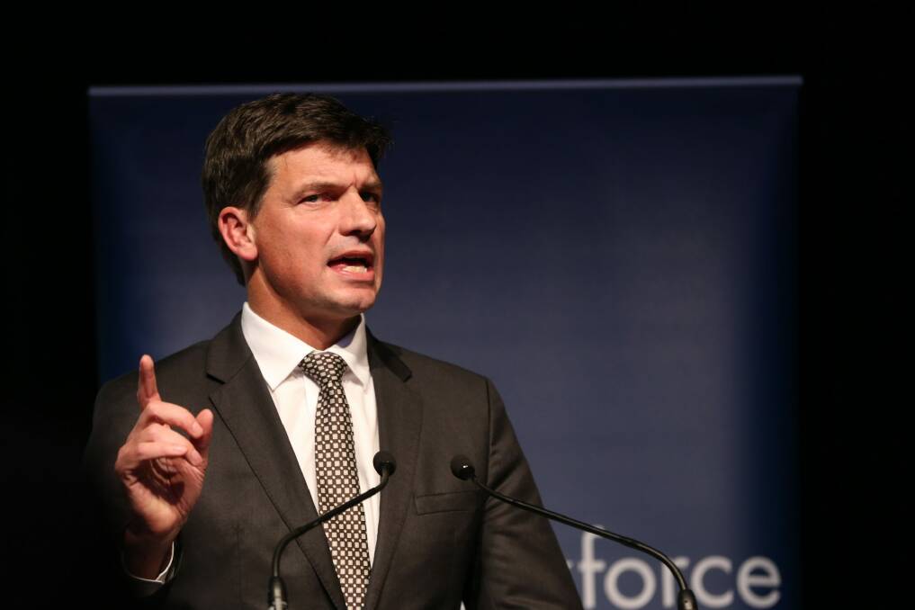Computer says no:  Digital Transformation Minister Angus Taylor. Photo: Louise Kennerley