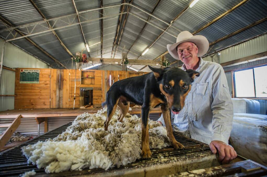 Gold Creek Station's Craig Starr with his sheepdog Davo. Photo: karleen minney