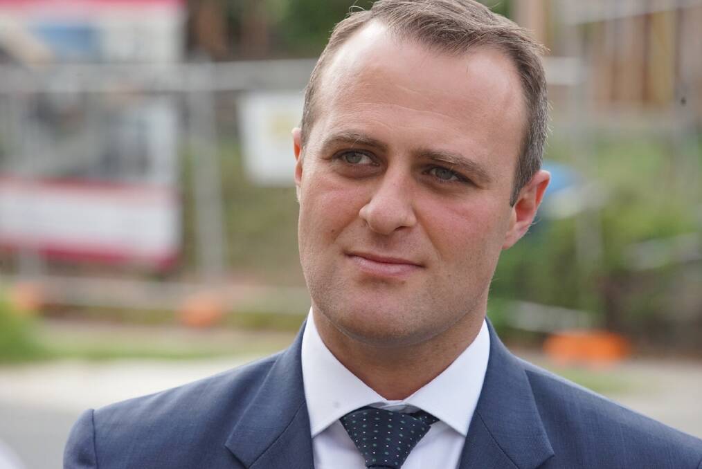 77.1 per cent of Tim Wilson's electorate of Goldstein wanted same-sex marriage legislated this year. Photo: Luis Ascui