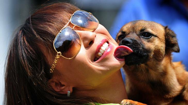 World renowned opera singer and animal lover Sumi Jo visits the ACT RSPCA in Weston, Canberra. Photo: Karleen Minney
