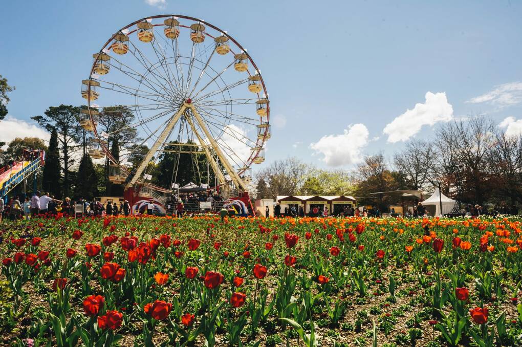 Floriade in 2016. Chief Minister Andrew Barr said future Floriades could have local wine and better entertainment under a new events strategy announced on Monday. Photo: Rohan Thomson