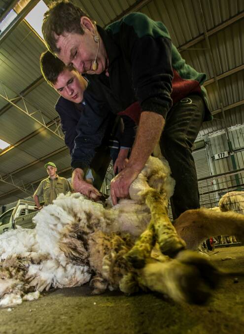 Professional sheep shearer Ian Elkin helps Ben Angstmann of Canberra Grammar school shear a sheep.  Photo: Karleen Minney