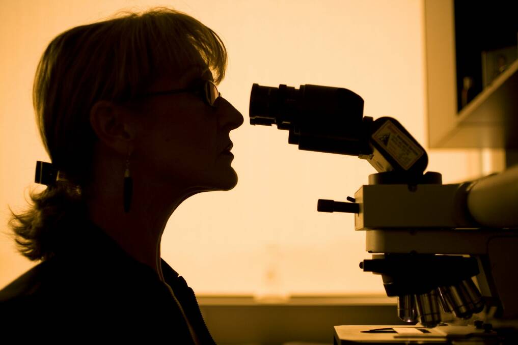 Scientific minds: There are plenty of women going into science, but they don't seem to progress.   Photo: Louie Douvis