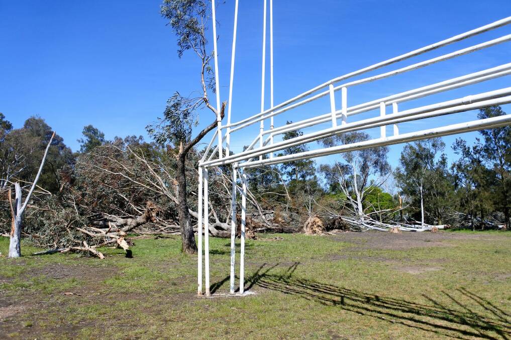 Strong winds brought trees crashing down in Canberra on Tuesday. More than 30 trees at Aranda Oval were toppled by the galeforce winds. Photo: Katie Burgess
