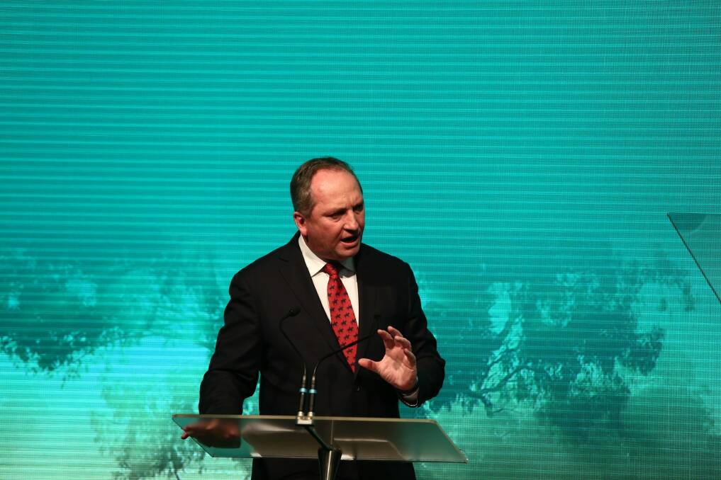 Deputy Prime Minister Barnaby Joyce has sidelined further public service relocations.  Photo: Dominic Lorrimer