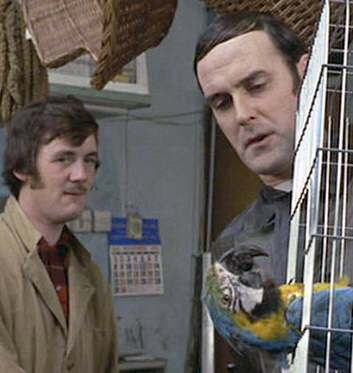 A scene from Monty Python's dead parrot sketch.