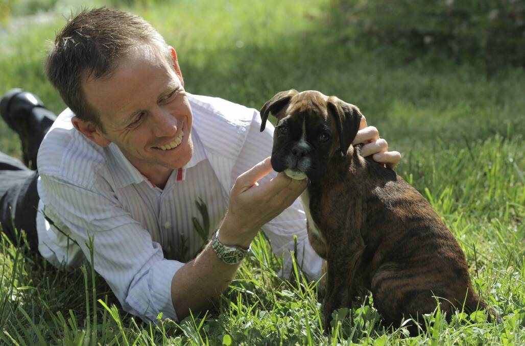 Tough new laws: Greens Minister Shane Rattenbury, with Boxer Wesley.  Photo: Graham Tidy