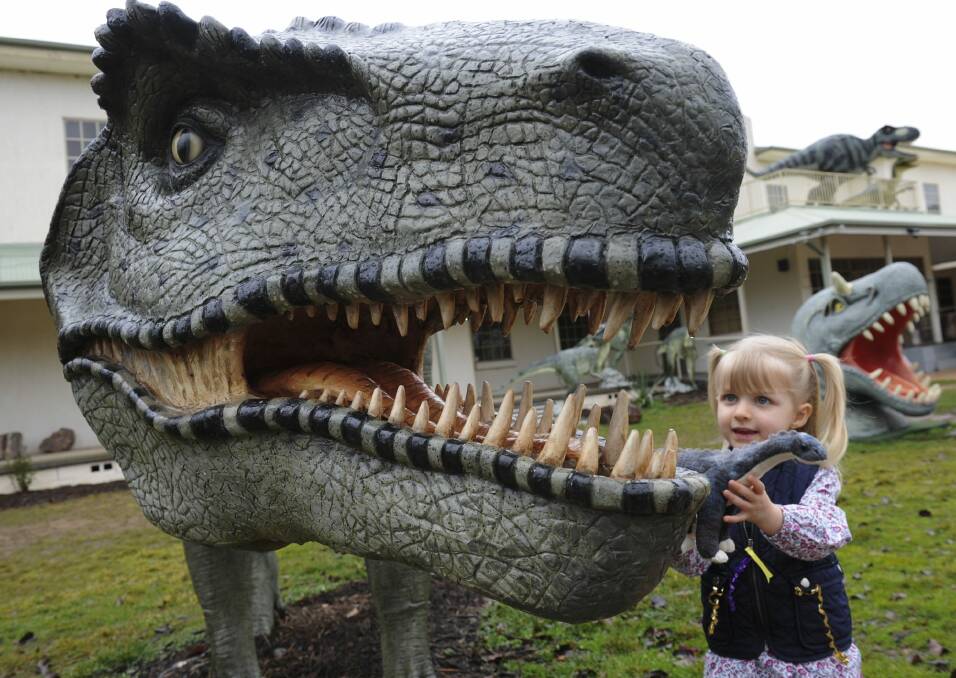 The popularity of Canberra's National Dinosaur Museum seems to have spiked since the recent release of the latest dinosaur movie, Jurrasic World. Visitor from Sydney, three-year-old Eloise Cullen, becomes acquainted with a museum beast. Photo: Graham Tidy