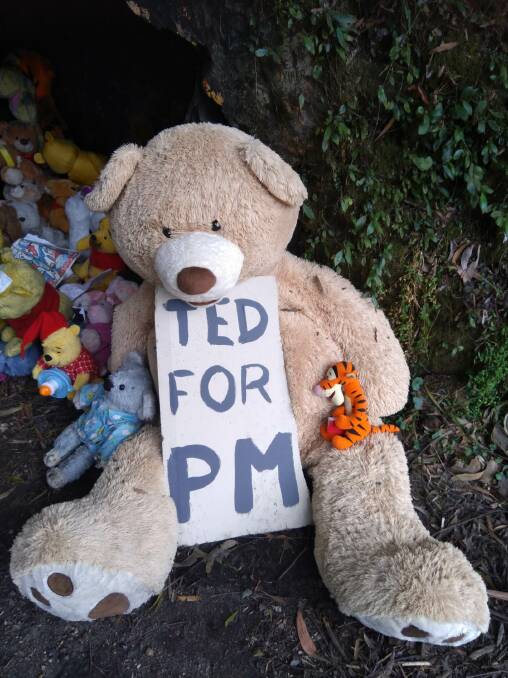 An ambitious teddy bear at Pooh’s Corner. Photo: Phill Sledge