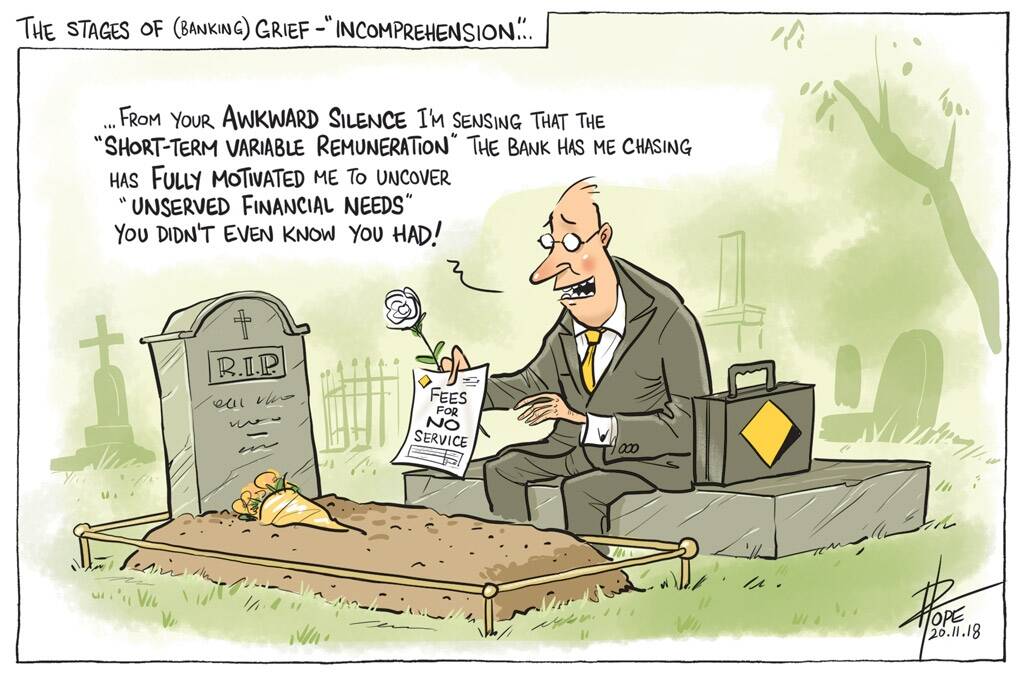 The Canberra Times editorial cartoon, Tuesday, November 20, 2018. Photo: David Pope