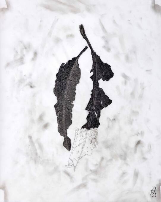 Lucienne Rickard,Untitled I, in Winter Drawings at Beaver Galleries. Photo: Supplied