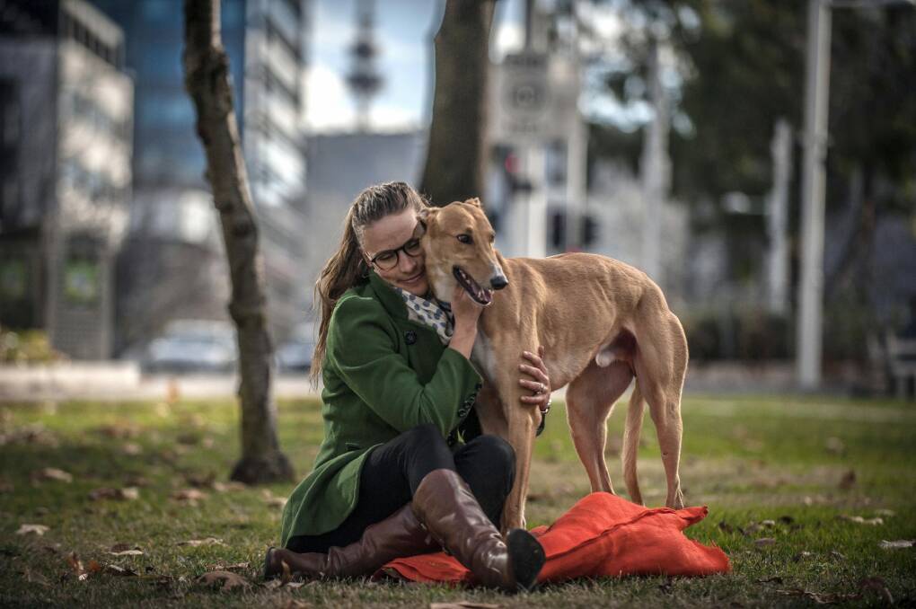 Zuzana O'Hanlon with her pet Argos, an ex-racing greyhound. Photo: Karleen Minney