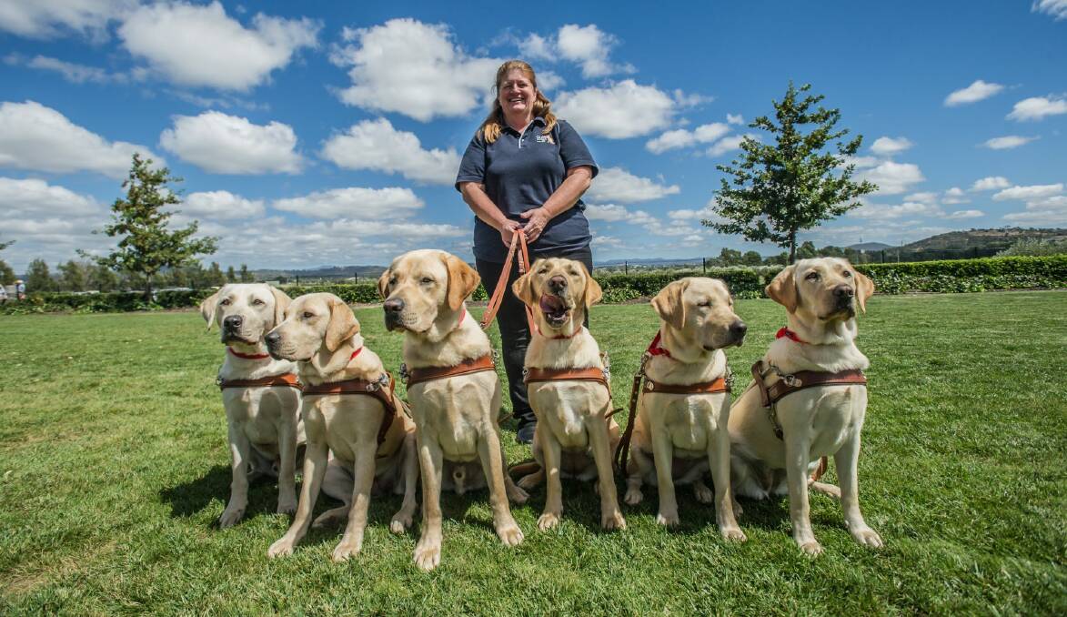 Karen Hayter, puppy development manager with new graduates (from left) Orlando, Page, Nick, Nicci, Ollie and Olive.  Photo: karleen minney