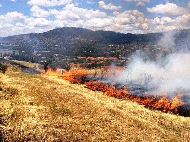 Controlled burns at Amber Ridge, Gordon. Photo: Courtesy of TAMS
