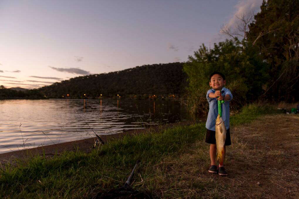 Zachary Zhao, 4, fishing on Lake Burley Griffin. The fishing community hopes the carp virus to be released next year will not negatively affect other wildlife and native species. Photo: Jay Cronan
