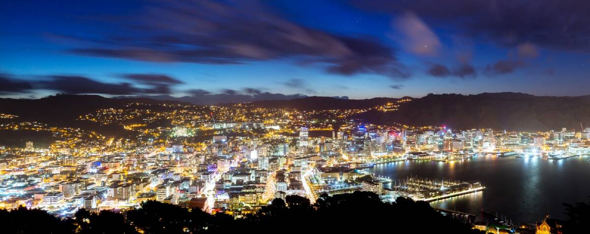 Panorama of Wellington city at night. Photo: Matteo Colombo