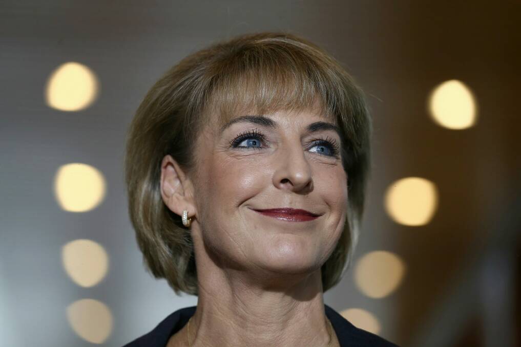 Employment Minister Michaelia Cash said the program would give young people "the skills they need to get their foot in the door". Photo: Alex Ellinghausen